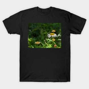 White and Yellow Flowers in a Field T-Shirt